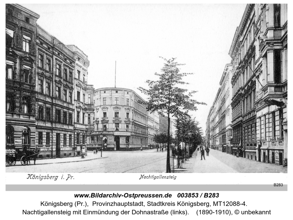 Königsberg (Pr.), Nachtigallensteig mit Einmündung der Dohnastraße (links)