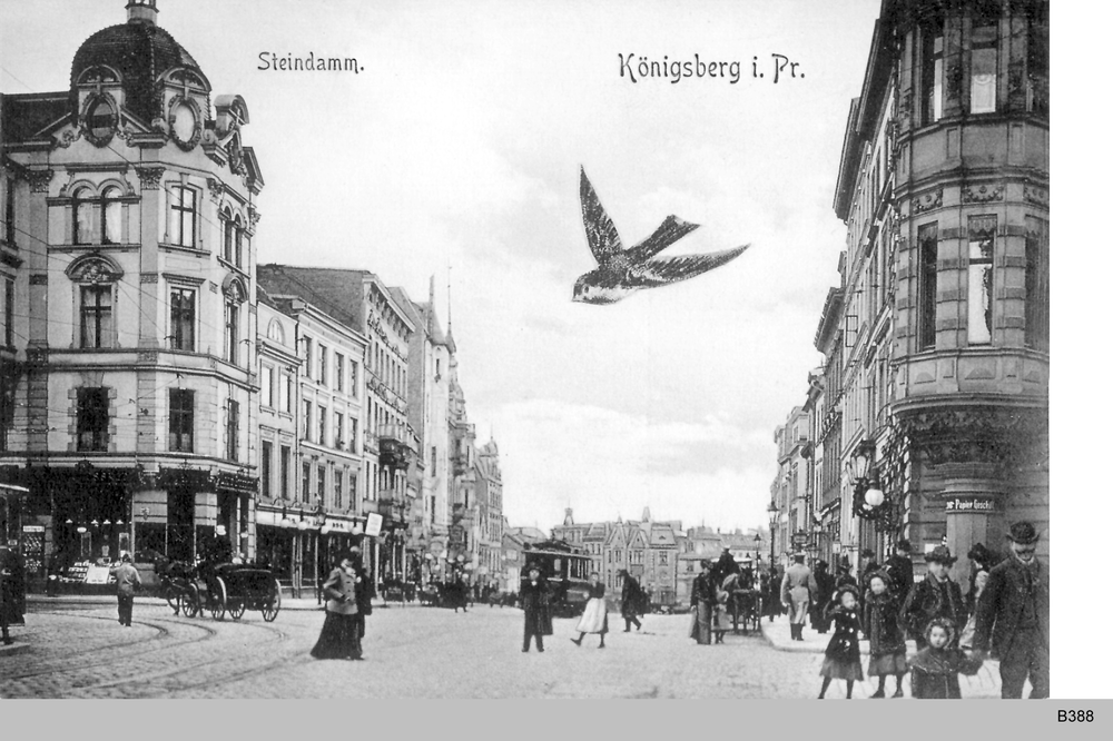 Königsberg, Steindamm