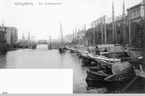 Königsberg, Am Junkergarten