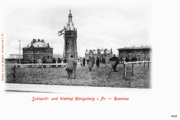 Königsberg, Schlacht- und Viehhof Rosenau
