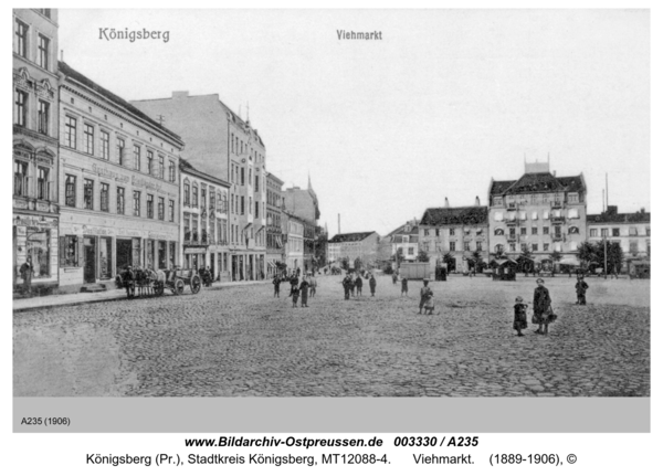 Königsberg, Viehmarkt