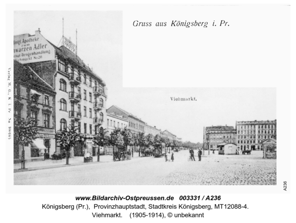 Königsberg, Viehmarkt