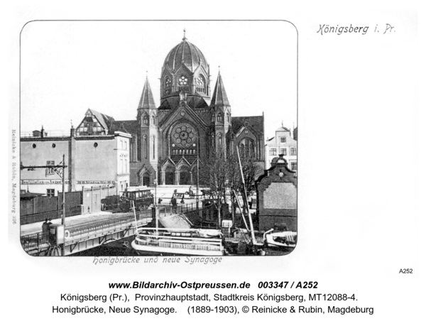 Königsberg (Pr.), Honigbrücke, Neue Synagoge