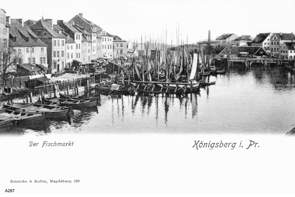 Königsberg, Fischmarkt