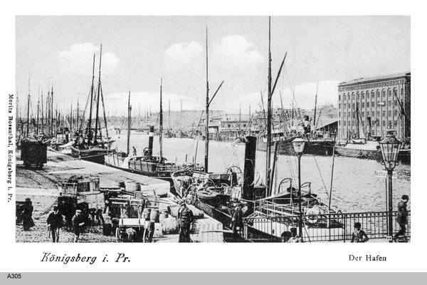 Königsberg, Hafen