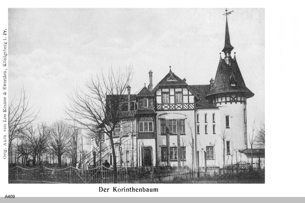 Königsberg, Korinthenbaum