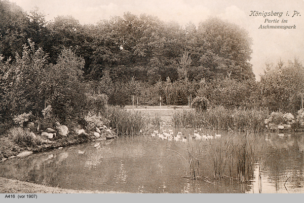 Königsberg, Partie am Aschmannpark