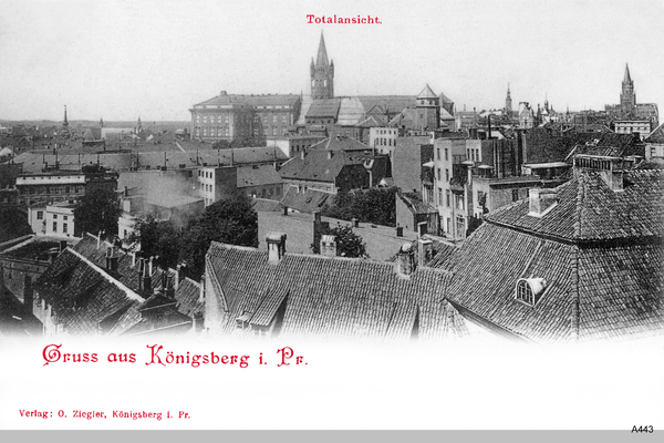 Königsberg, Blick über die Dächer zum Schloß