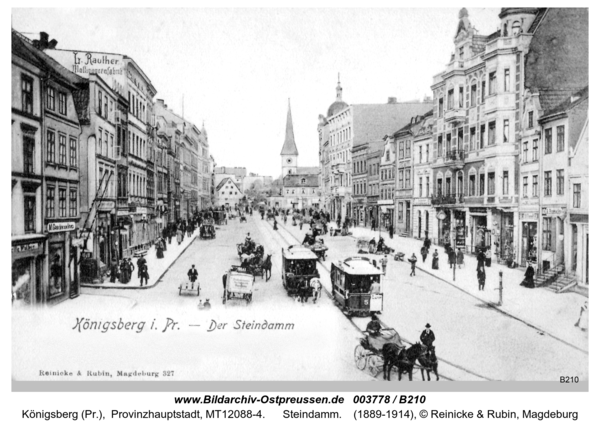 Königsberg, Steindamm