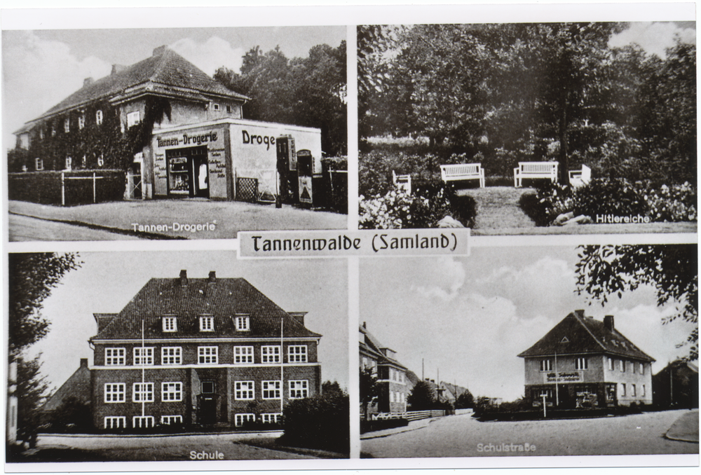Tannenwalde Stadtkr. Königsberg, Drogerie, Hitlereiche, Schule, Schulstraße