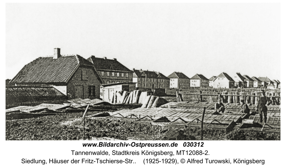 Tannenwalde Stadtkr. Königsberg, Siedlung, Häuser der Fritz-Tschierse-Str.