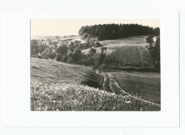 Krs. Elbing, Im Hügelland der Elbinger Höhe, Kuckucksgrund