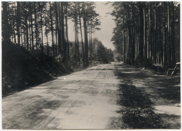 Kahlberg-Liep, Chaussee nach Liep