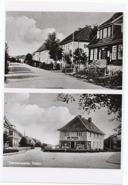 Tannenwalde Stadtkr. Königsberg, Straßenbilder (unten Schulstraße)