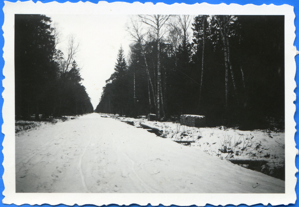 Lablacken Kr. Labiau, Waldweg bei Lablacken