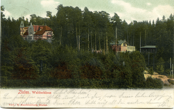 Zinten, Waldschloss