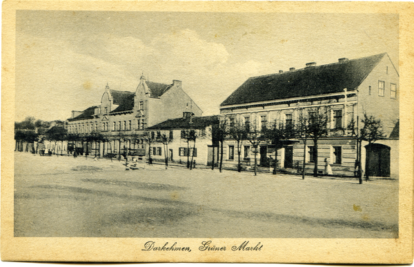 Darkehmen, Grüner Markt