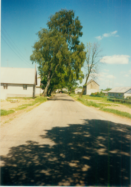 Karkeln, Straße in Richtung Karkelstrom