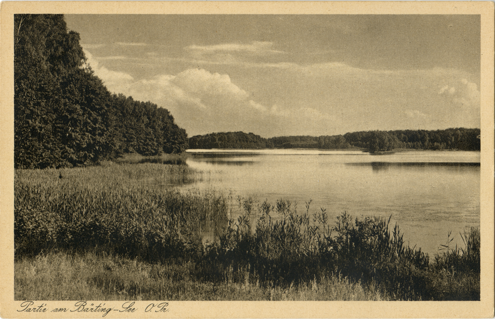 Bärtingsee, Partie am Bärtingsee