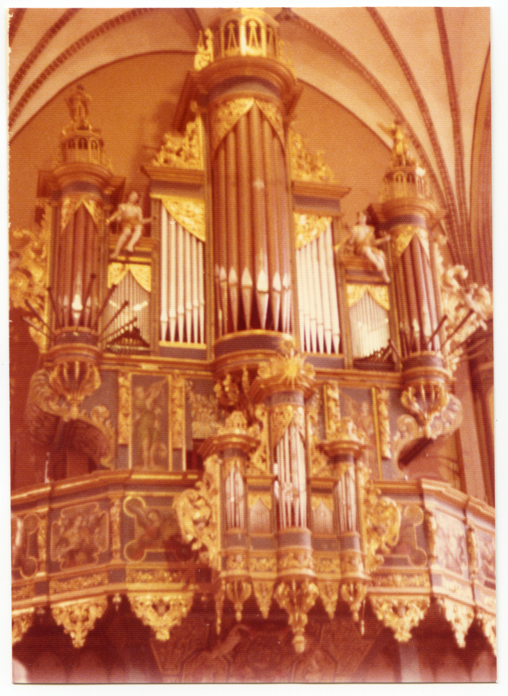 Frauenburg, Dom, Orgel