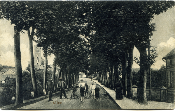 Schmalleningken, Allee