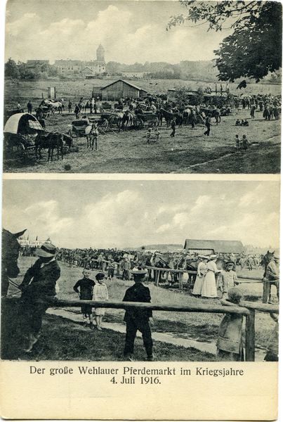 Wehlau, Pferdemarkt 1916