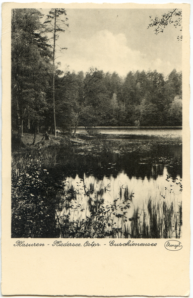 Niedersee, Guschienensee