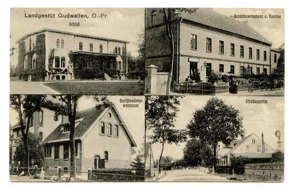 Gudwallen, Schloß, Wohnhaus, Wohnhaus, Straßenpartie