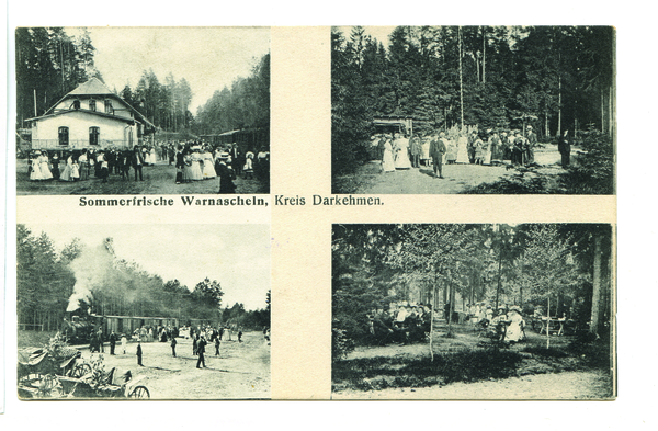 Warnascheln, Am Kleinbahnhof, Waldidylle