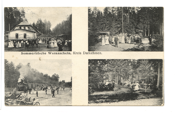 Warnascheln, am Kleinbahnhof, Waldidylle