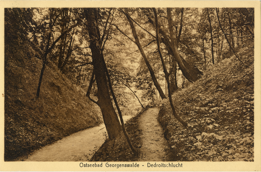 Georgenswalde, Detroitschlucht