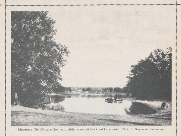 Guszianka, Die Königseichen am Beldahnsee mit Blick auf Guszianka