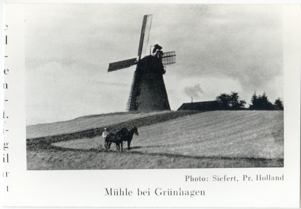 Grünhagen Kr. Preußisch Holland, Windmühle bei Grünhagen