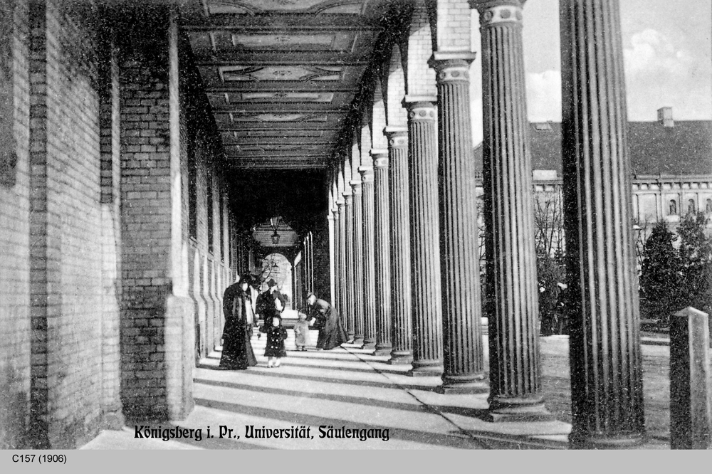 Königsberg, Universität, Säulengang