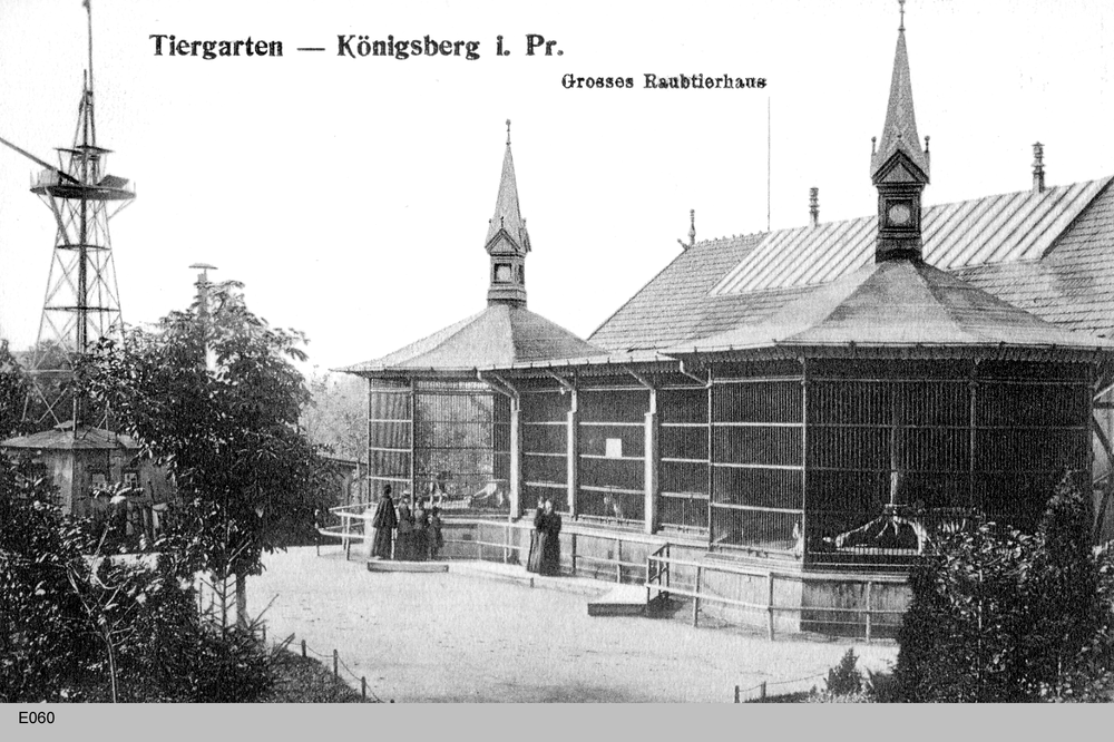Königsberg, Raubtierhaus im Tiergarten