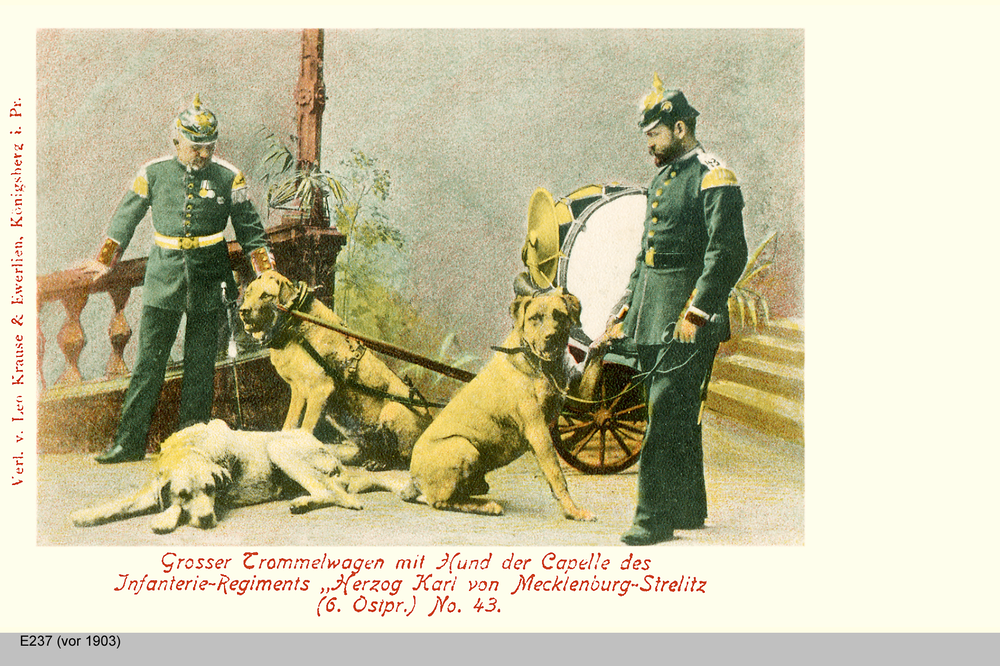 Königsberg, Großer Trommelwagen