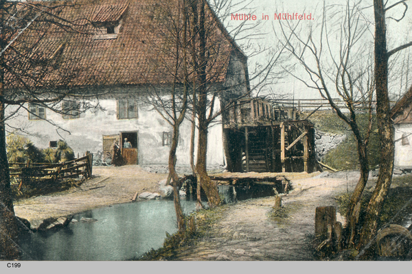 Mühlfeld, Blick auf die Mühle