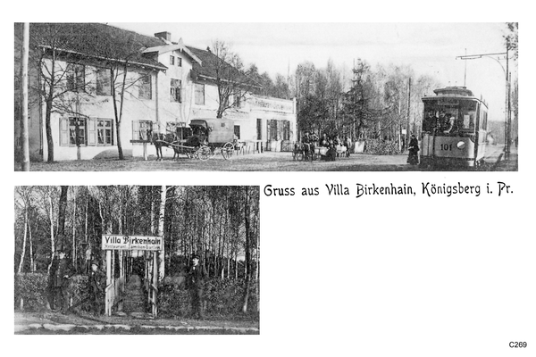 Königsberg, Villa Birkenhain