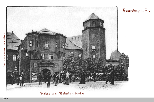 Königsberg, Schloß vom Mühlenberg