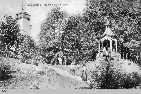 Königsberg, Partie im Tiergarten