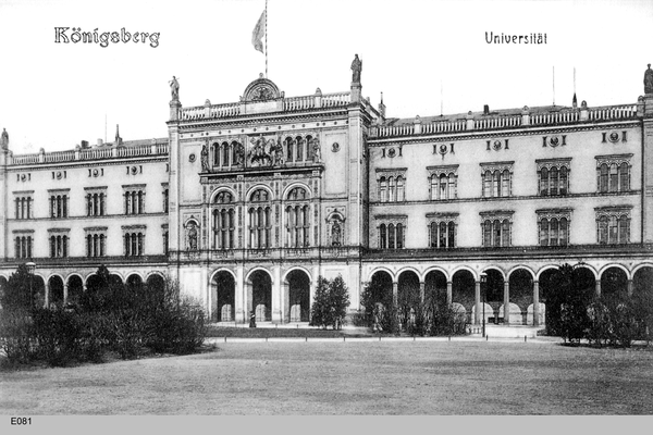 Königsberg, Universität