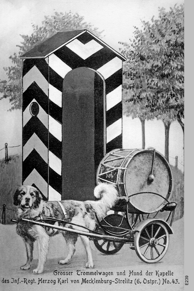 Königsberg, Großer Trommelwagen mit Hund