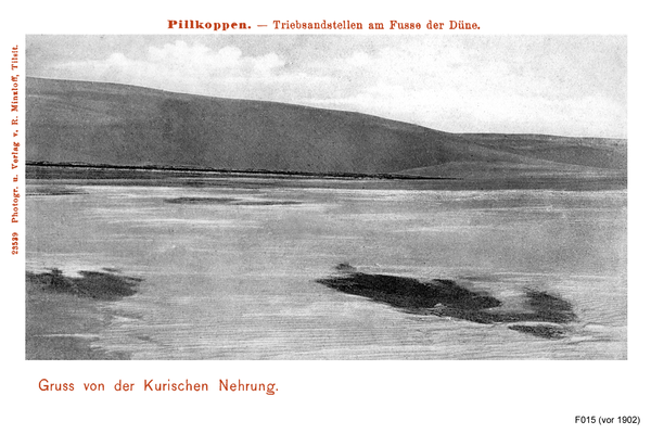 Pillkoppen, Treibsandstellen am Fuße der Dünen