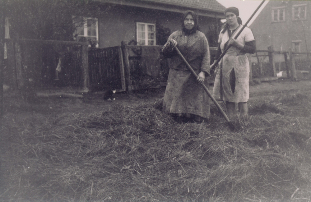 Loye, Justine und Meta Kubeit bei der Heuernte