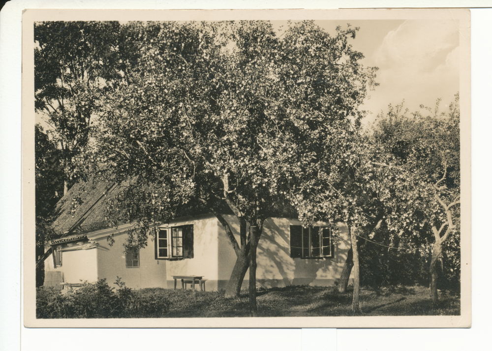Rossitten Kr. Samland, Haus mit Bäumen