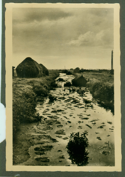 Loye, Stichkanal in der Nähe von Loye