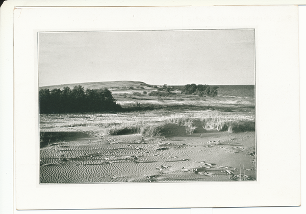 Sarkau, Dünenlandschaft hinter Sarkau