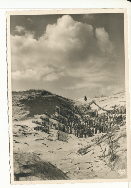 Kurische Nehrung, Festgelegte Düne