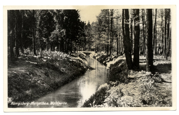 Metgethen, Der "Stänkerkanal" (Königsberger Abwasserkanal)