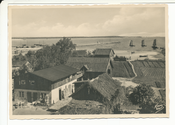 Rossitten Kr. Samland, Blick vom Kurhaus auf Haff und Mole